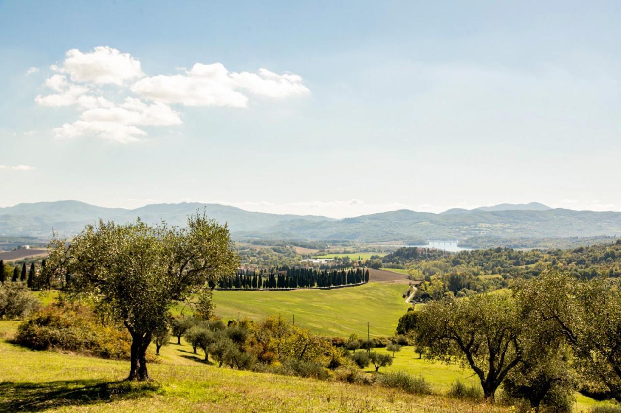 Borghetto Il Poggiolo Mugello - Affitti Brevi Italia Apartment สการ์เปริอา ภายนอก รูปภาพ